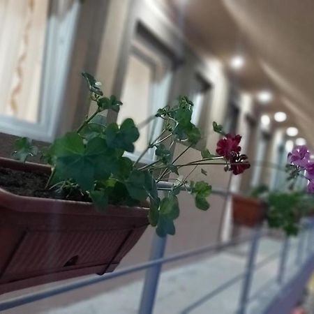 Rooms Stefan Суботица Экстерьер фото