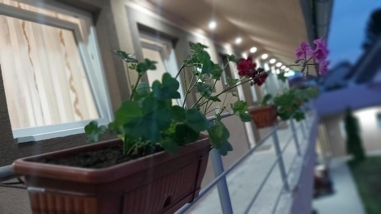 Rooms Stefan Суботица Экстерьер фото