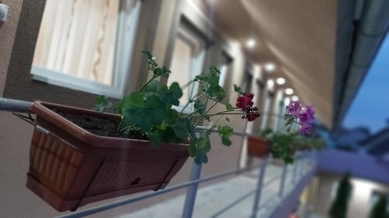 Rooms Stefan Суботица Экстерьер фото